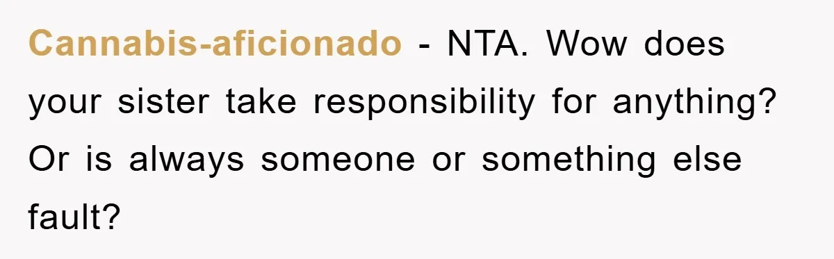 Cannabis-aficionado − NTA. Wow does your sister take responsibility for anything? Or is always someone or something else fault?