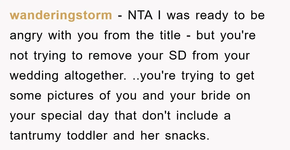 wanderingstorm − NTA I was ready to be angry with you from the title - but you're not trying to remove your SD from your wedding altogether. ..you're trying to...