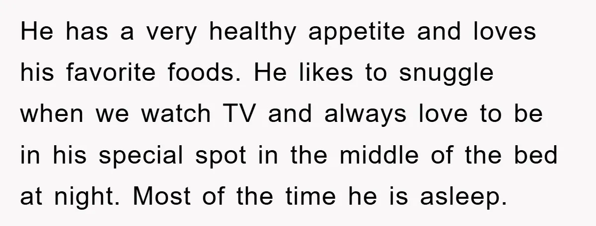 He has a very healthy appetite and loves his favorite foods. He likes to snuggle when we watch TV and always love to be in his special spot in the...
