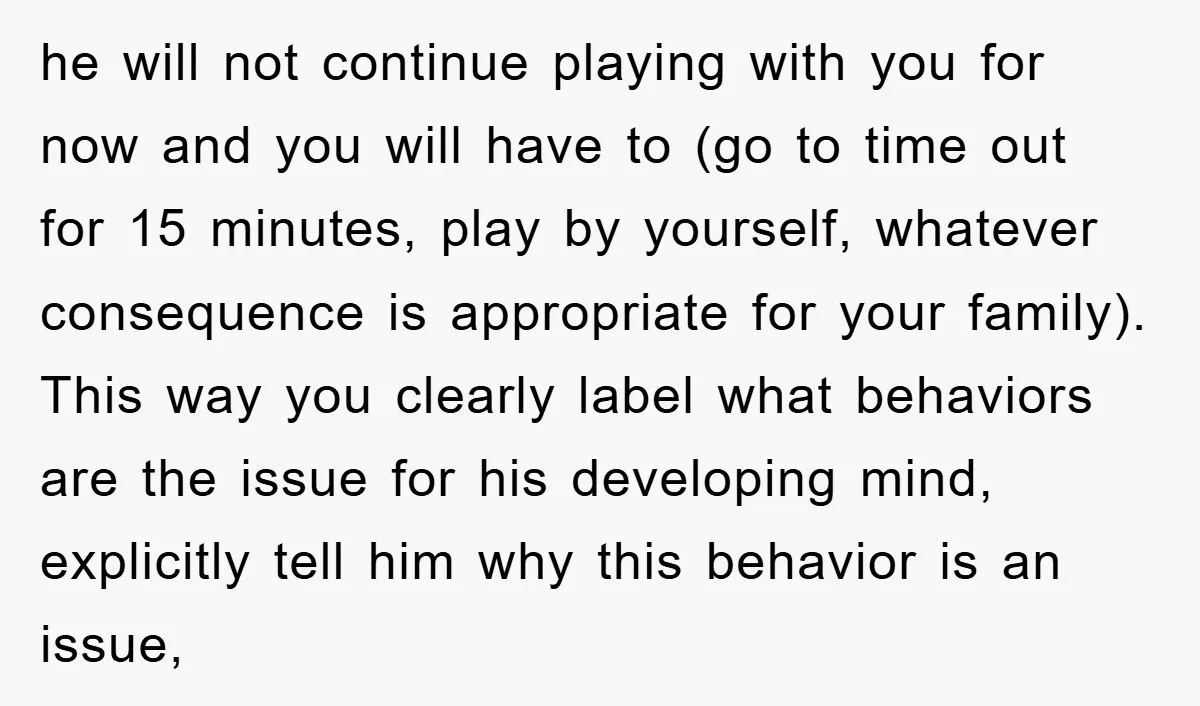 he will not continue playing with you for now and you will have to (go to time out for 15 minutes, play by yourself, whatever consequence is appropriate for your...