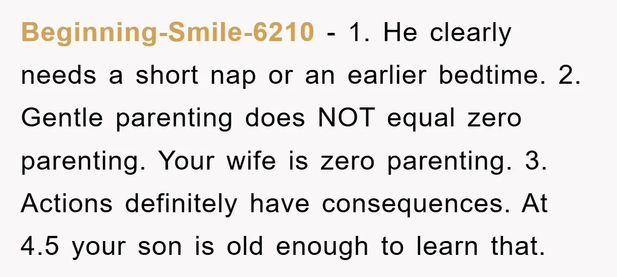 Beginning-Smile-6210 − 1. He clearly needs a short nap or an earlier bedtime. 2. Gentle parenting does NOT equal zero parenting. Your wife is zero parenting. 3. Actions definitely have...
