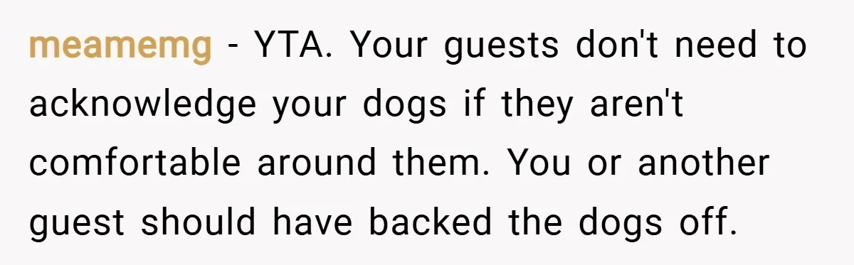 meamemg − YTA. Your guests don't need to acknowledge your dogs if they aren't comfortable around them. You or another guest should have backed the dogs off.
