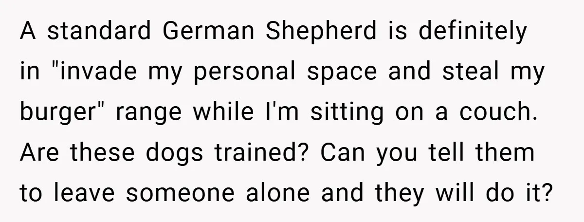 A standard German Shepherd is definitely in "invade my personal space and steal my burger" range while I'm sitting on a couch. Are these dogs trained? Can you tell them...