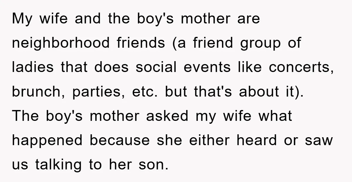 My wife and the boy's mother are neighborhood friends (a friend group of ladies that does social events like concerts, brunch, parties, etc. but that's about it). The boy's mother...