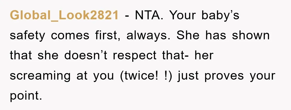 Global_Look2821 − NTA. Your baby’s safety comes first, always. She has shown that she doesn’t respect that- her screaming at you (twice! !) just proves your point.