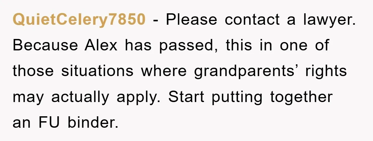 QuietCelery7850 − Please contact a lawyer. Because Alex has passed, this in one of those situations where grandparents’ rights may actually apply. Start putting together an FU binder.