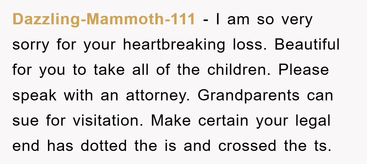 Dazzling-Mammoth-111 − I am so very sorry for your heartbreaking loss. Beautiful for you to take all of the children. Please speak with an attorney. Grandparents can sue for visitation....