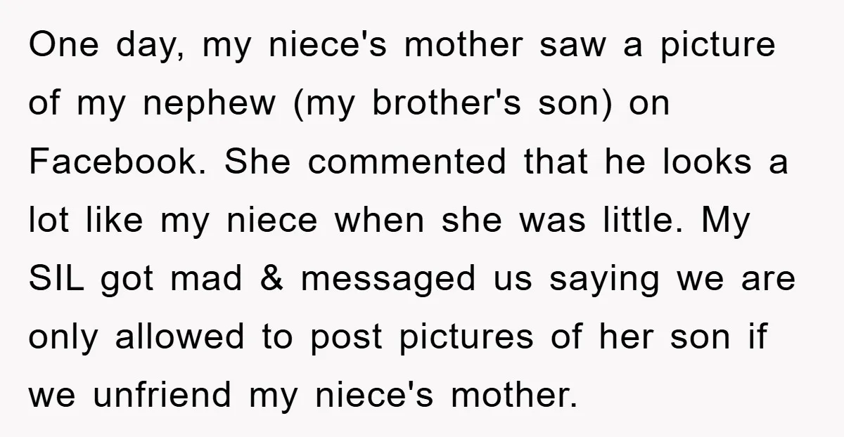 One day, my niece's mother saw a picture of my nephew (my brother's son) on Facebook. She commented that he looks a lot like my niece when she was little....