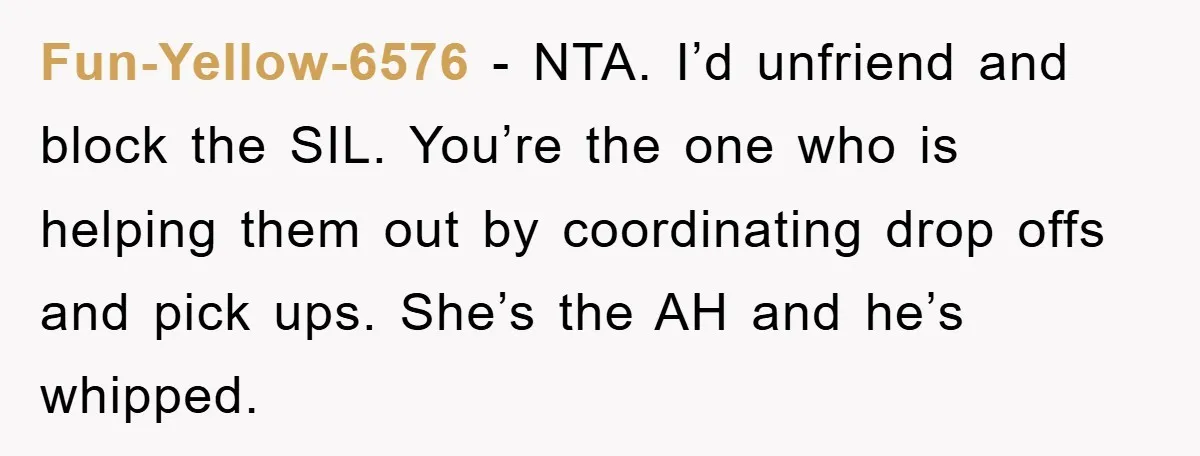 Fun-Yellow-6576 − NTA. I’d unfriend and block the SIL. You’re the one who is helping them out by coordinating drop offs and pick ups. She’s the AH and he’s whipped.