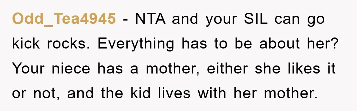 Odd_Tea4945 − NTA and your SIL can go kick rocks. Everything has to be about her? Your niece has a mother, either she likes it or not, and the kid...