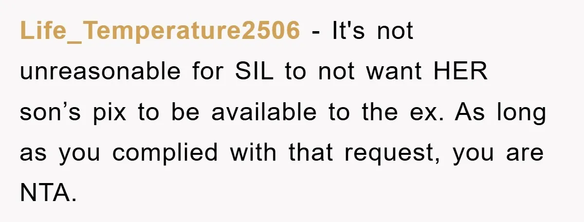Life_Temperature2506 − It's not unreasonable for SIL to not want HER son’s pix to be available to the ex. As long as you complied with that request, you are NTA.