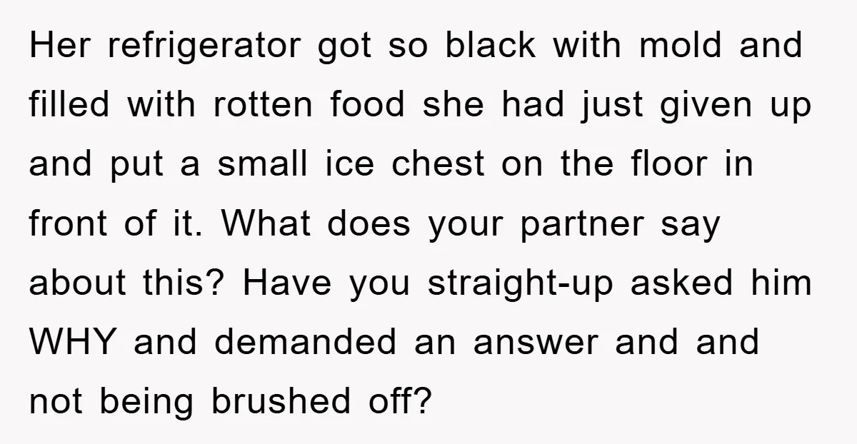 Her refrigerator got so black with mold and filled with rotten food she had just given up and put a small ice chest on the floor in front of it....