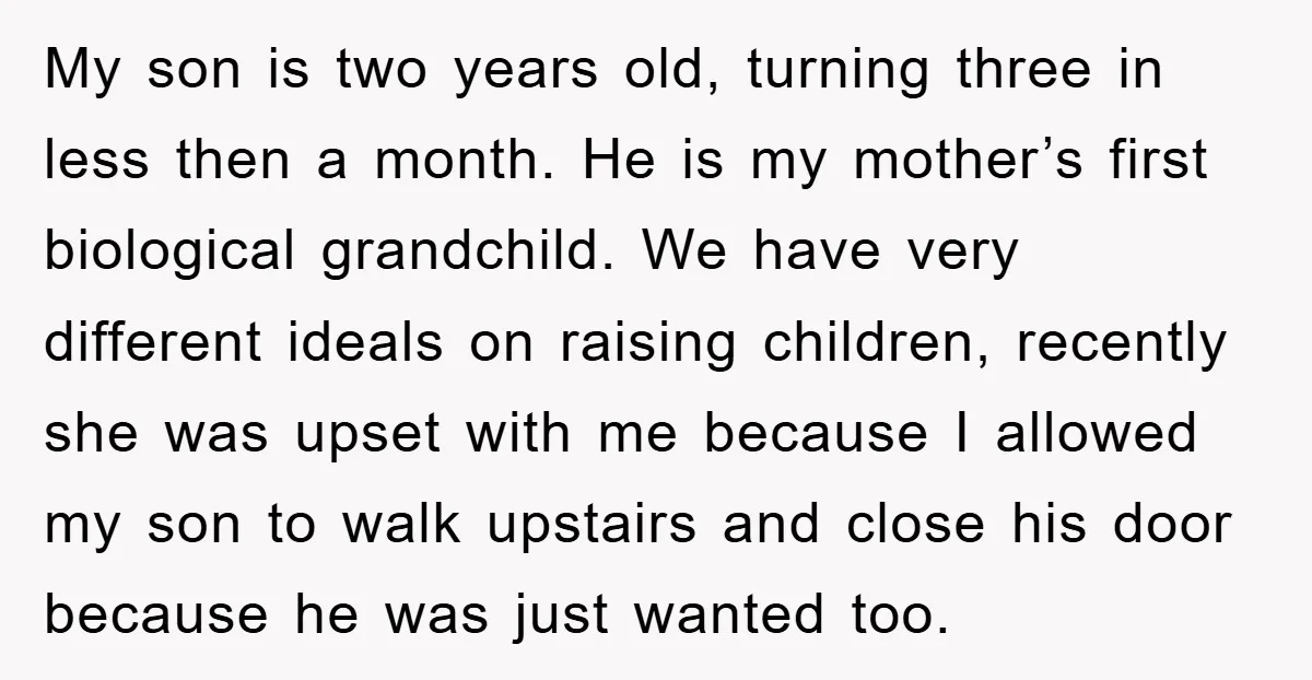My son is two years old, turning three in less then a month. He is my mother’s first biological grandchild. We have very different ideals on raising children, recently she...