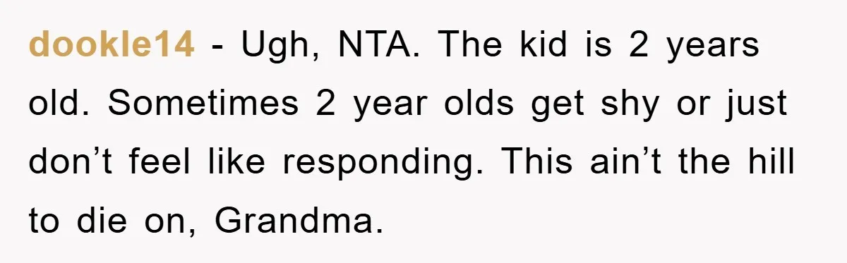 dookle14 − Ugh, NTA. The kid is 2 years old. Sometimes 2 year olds get shy or just don’t feel like responding. This ain’t the hill to die on, Grandma.