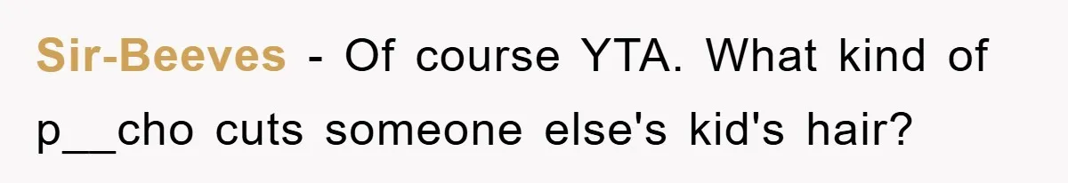Sir-Beeves − Of course YTA. What kind of p__cho cuts someone else's kid's hair?