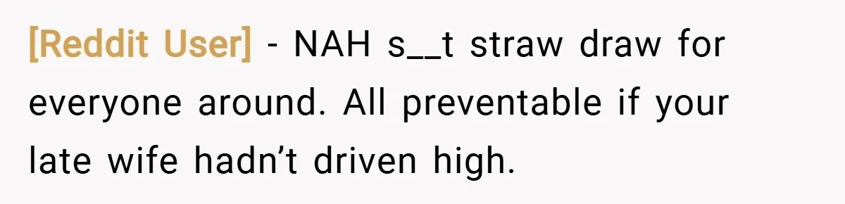 [Reddit User] − NAH s__t straw draw for everyone around. All preventable if your late wife hadn’t driven high.