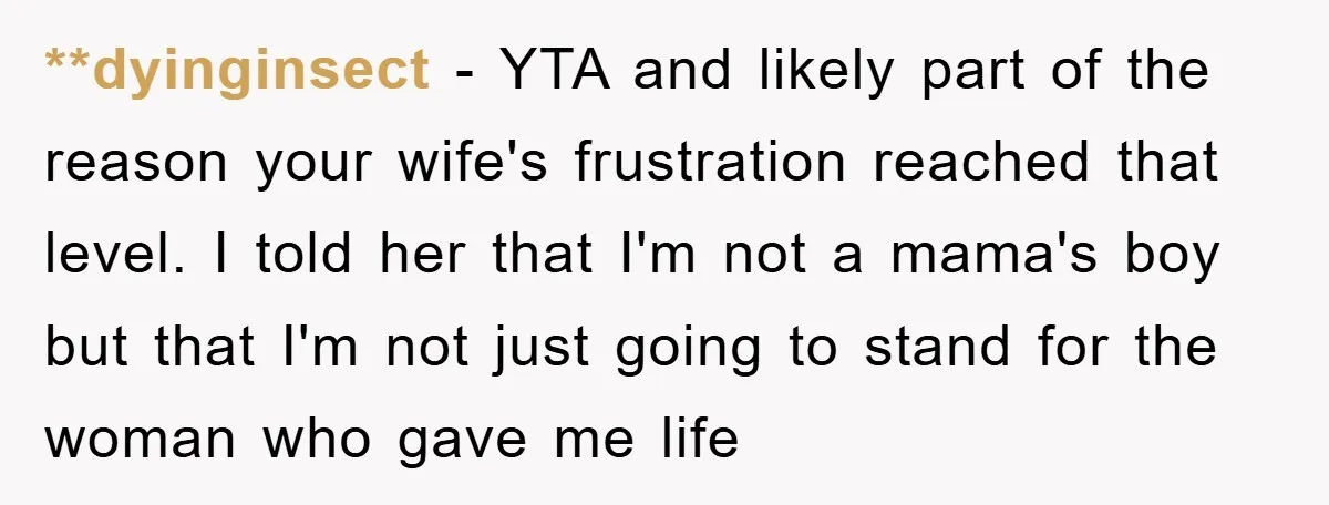 **dyinginsect − YTA and likely part of the reason your wife's frustration reached that level. I told her that I'm not a mama's boy but that I'm not just going...