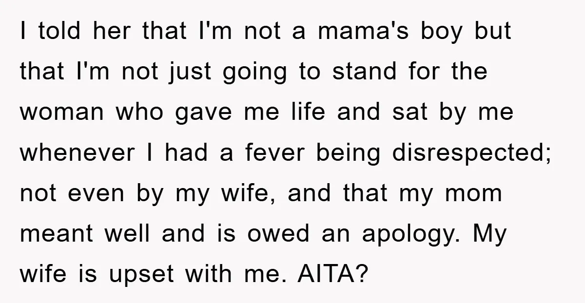 I told her that I'm not a mama's boy but that I'm not just going to stand for the woman who gave me life and sat by me whenever I...