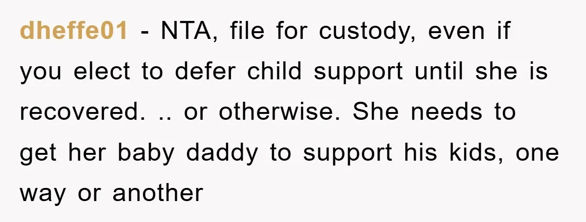 dheffe01 − NTA, file for custody, even if you elect to defer child support until she is recovered. .. or otherwise. She needs to get her baby daddy to support...