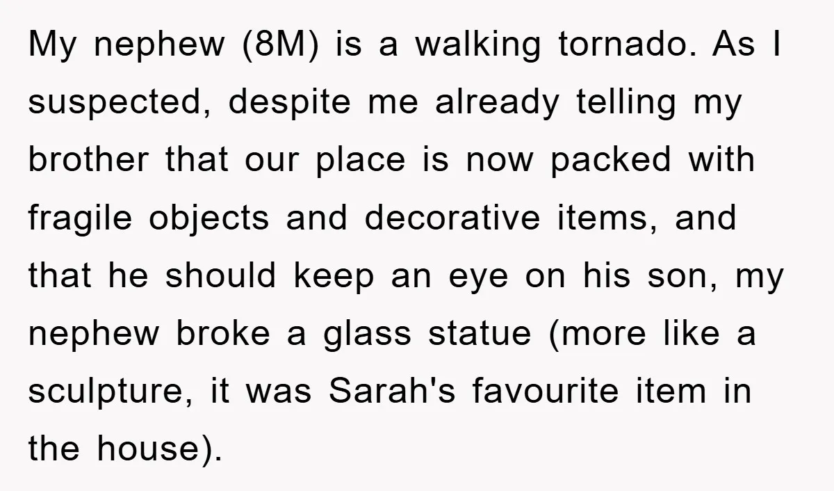 My nephew (8M) is a walking tornado. As I suspected, despite me already telling my brother that our place is now packed with fragile objects and decorative items, and that...