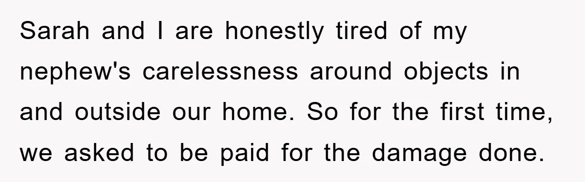 Sarah and I are honestly tired of my nephew's carelessness around objects in and outside our home. So for the first time, we asked to be paid for the damage...