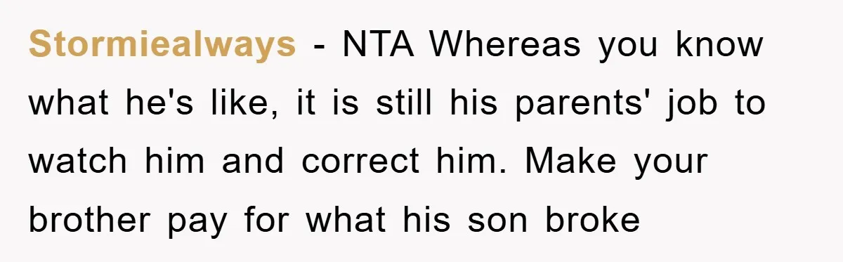 Stormiealways − NTA Whereas you know what he's like, it is still his parents' job to watch him and correct him. Make your brother pay for what his son broke
