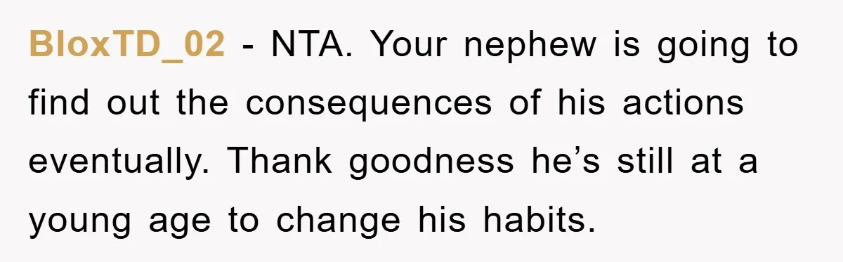 BloxTD_02 − NTA. Your nephew is going to find out the consequences of his actions eventually. Thank goodness he’s still at a young age to change his habits.