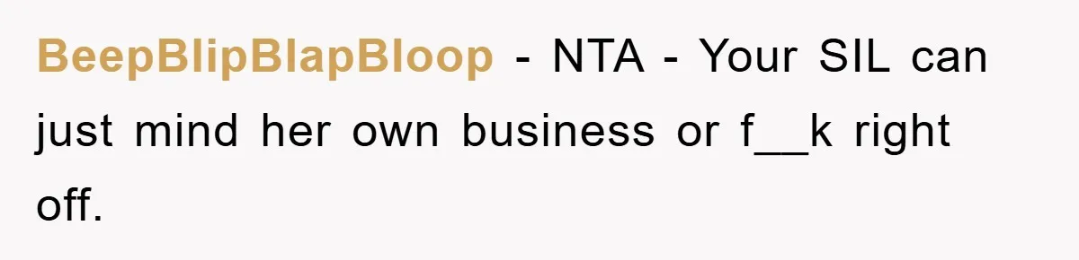 BeepBlipBlapBloop − NTA - Your SIL can just mind her own business or f__k right off.