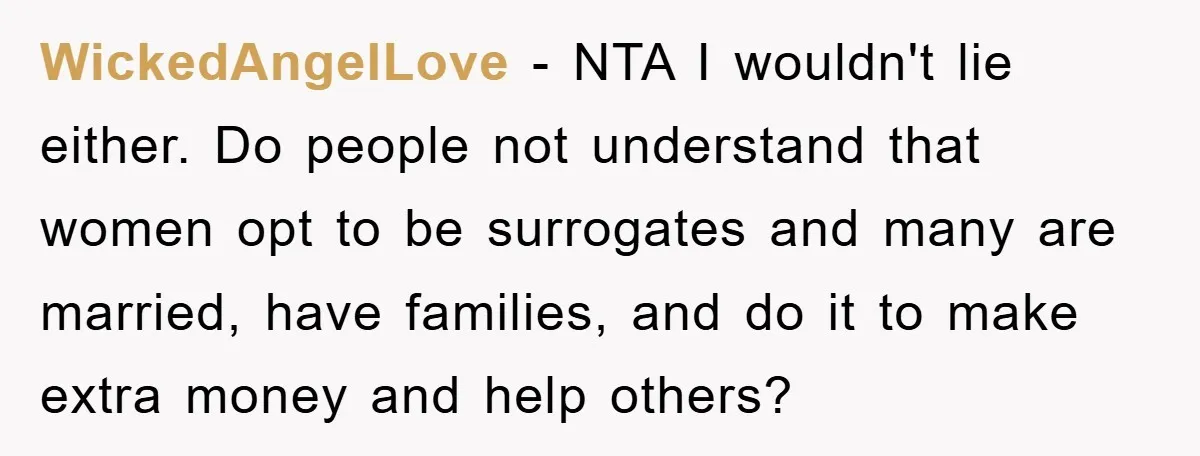 WickedAngelLove − NTA I wouldn't lie either. Do people not understand that women opt to be surrogates and many are married, have families, and do it to make extra money...