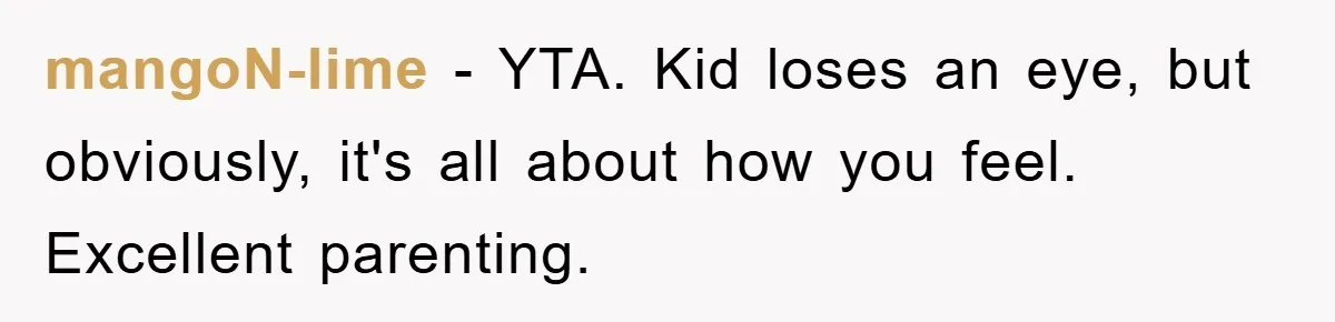 mangoN-lime − YTA. Kid loses an eye, but obviously, it's all about how you feel. Excellent parenting.