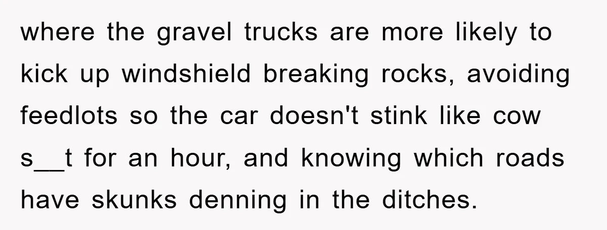 where the gravel trucks are more likely to kick up windshield breaking rocks, avoiding feedlots so the car doesn't stink like cow s__t for an hour, and knowing which roads...