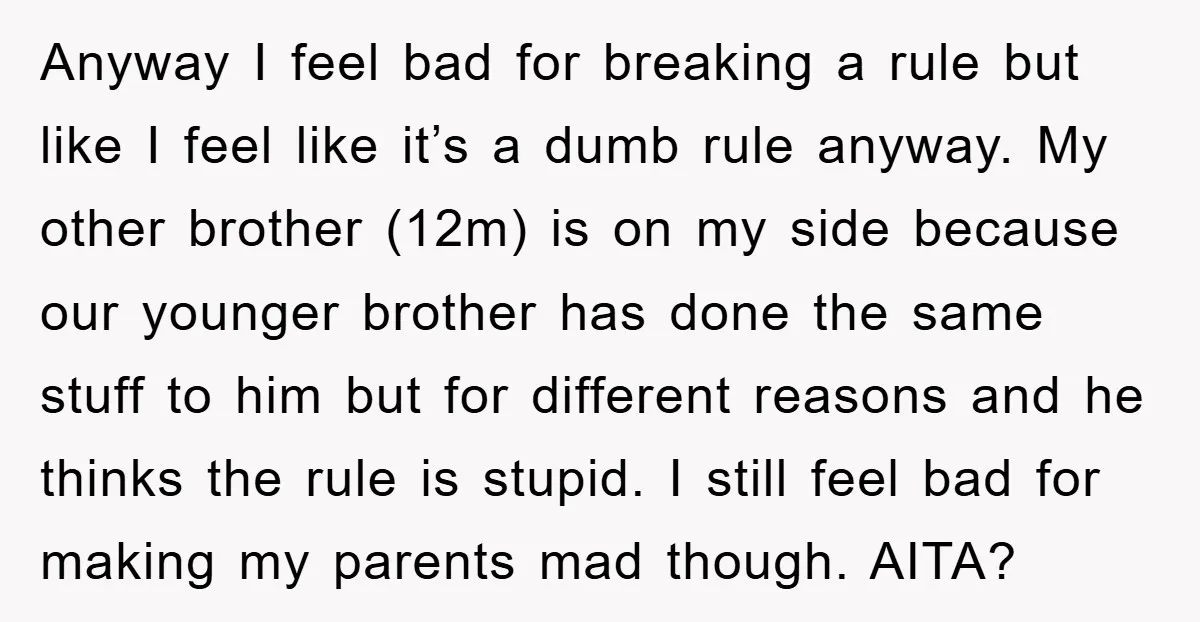 Anyway I feel bad for breaking a rule but like I feel like it’s a dumb rule anyway. My other brother (12m) is on my side because our younger brother...