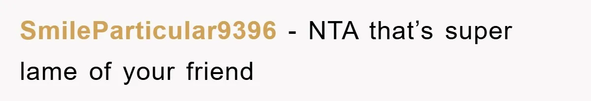 SmileParticular9396 − NTA that’s super lame of your friend