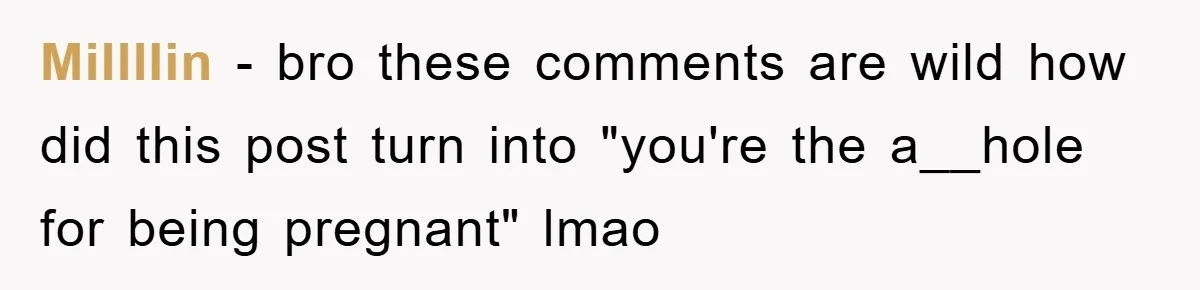 MiIllIin − bro these comments are wild how did this post turn into "you're the a__hole for being pregnant" lmao