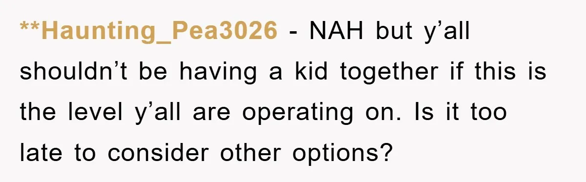 **Haunting_Pea3026 − NAH but y’all shouldn’t be having a kid together if this is the level y’all are operating on. Is it too late to consider other options?