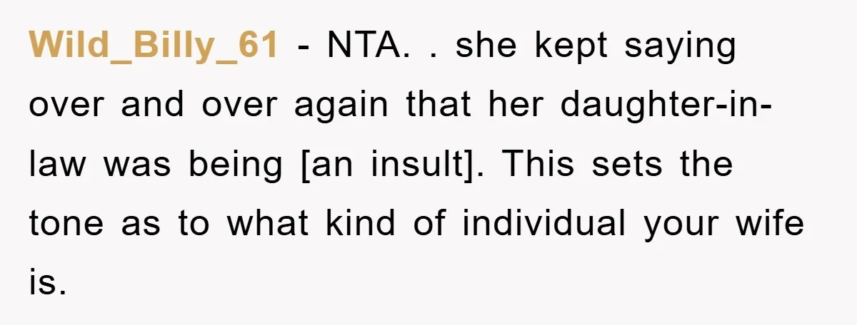 Wild_Billy_61 − NTA. . she kept saying over and over again that her daughter-in-law was being [an insult]. This sets the tone as to what kind of individual your wife...