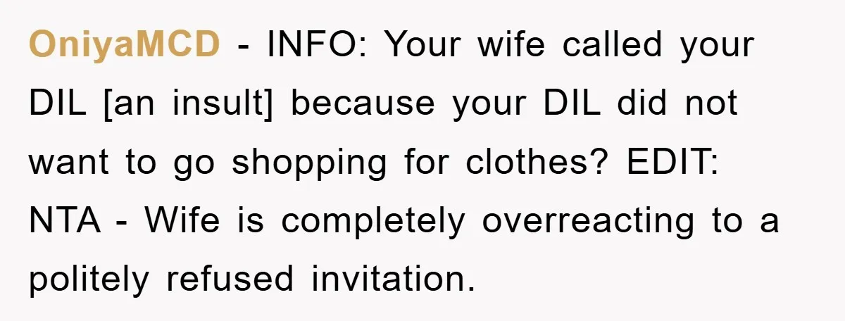 OniyaMCD − INFO: Your wife called your DIL [an insult] because your DIL did not want to go shopping for clothes? EDIT: NTA - Wife is completely overreacting to a...