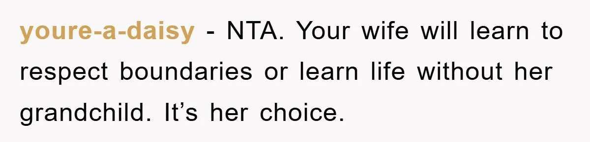 youre-a-daisy − NTA. Your wife will learn to respect boundaries or learn life without her grandchild. It’s her choice.
