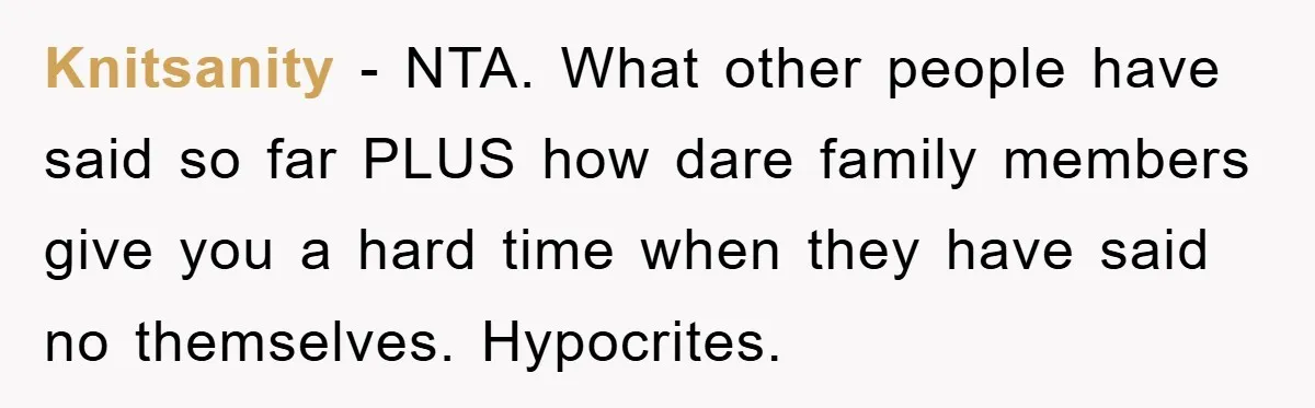 Knitsanity − NTA. What other people have said so far PLUS how dare family members give you a hard time when they have said no themselves. Hypocrites.