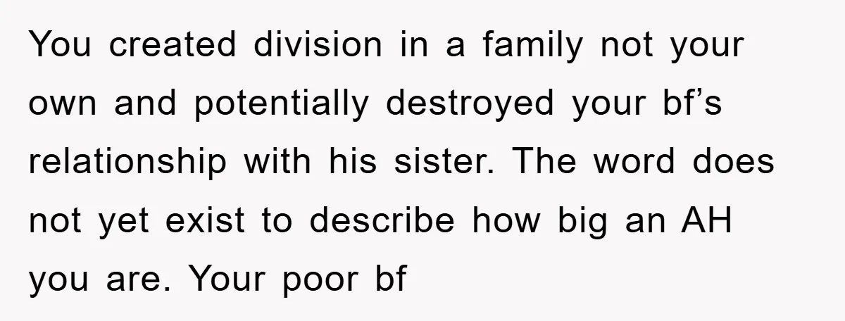 You created division in a family not your own and potentially destroyed your bf’s relationship with his sister. The word does not yet exist to describe how big an AH...