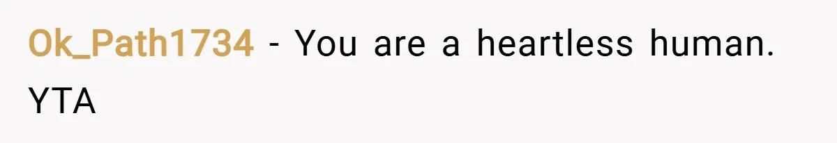 Ok_Path1734 − You are a heartless human. YTA