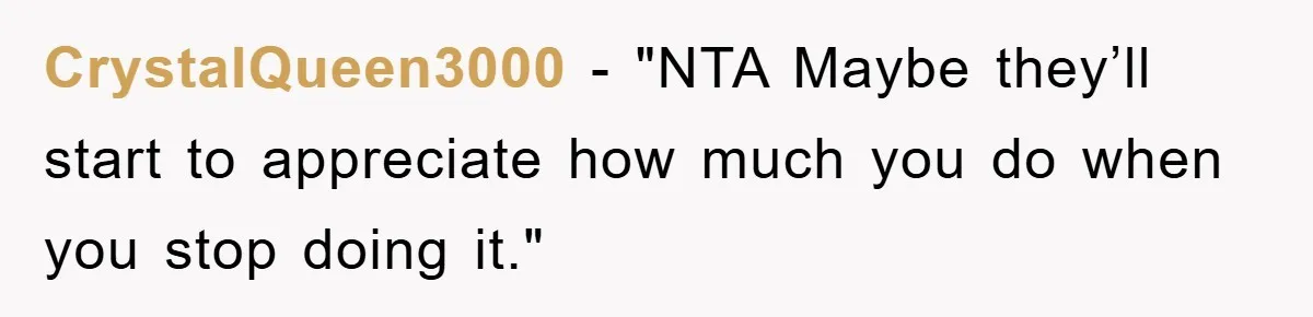 CrystalQueen3000 − "NTA Maybe they’ll start to appreciate how much you do when you stop doing it."