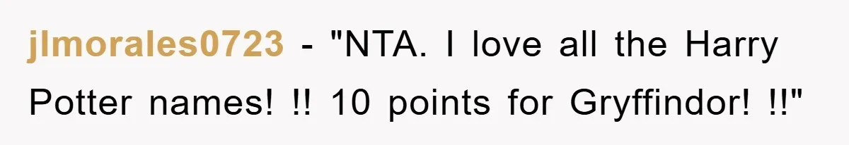 jlmorales0723 − "NTA. I love all the Harry Potter names! !! 10 points for Gryffindor! !!"