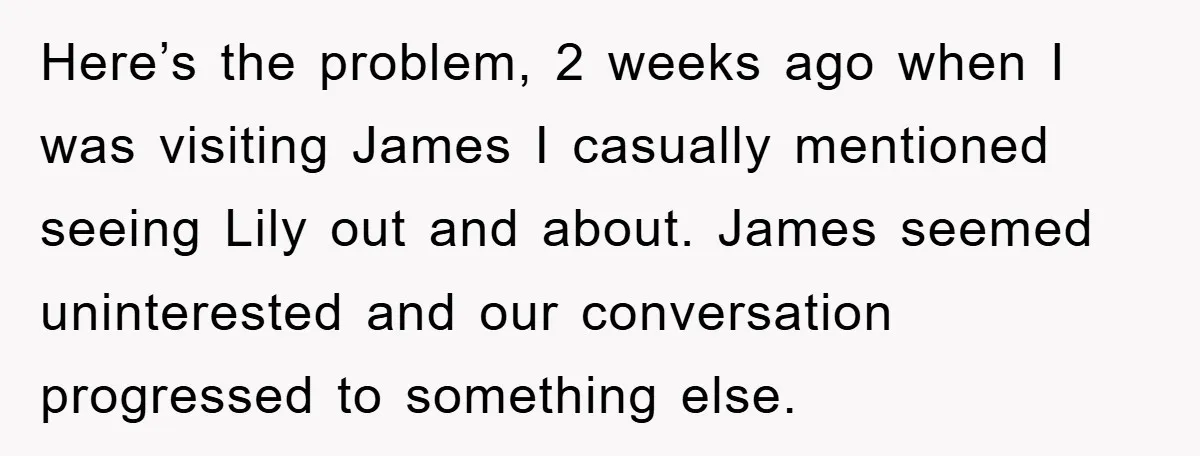 Here’s the problem, 2 weeks ago when I was visiting James I casually mentioned seeing Lily out and about. James seemed uninterested and our conversation progressed to something else.