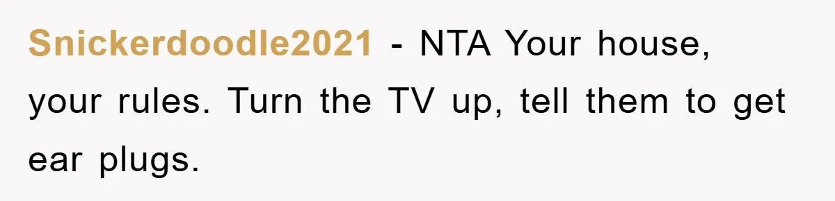 Snickerdoodle2021 − NTA Your house, your rules. Turn the TV up, tell them to get ear plugs.