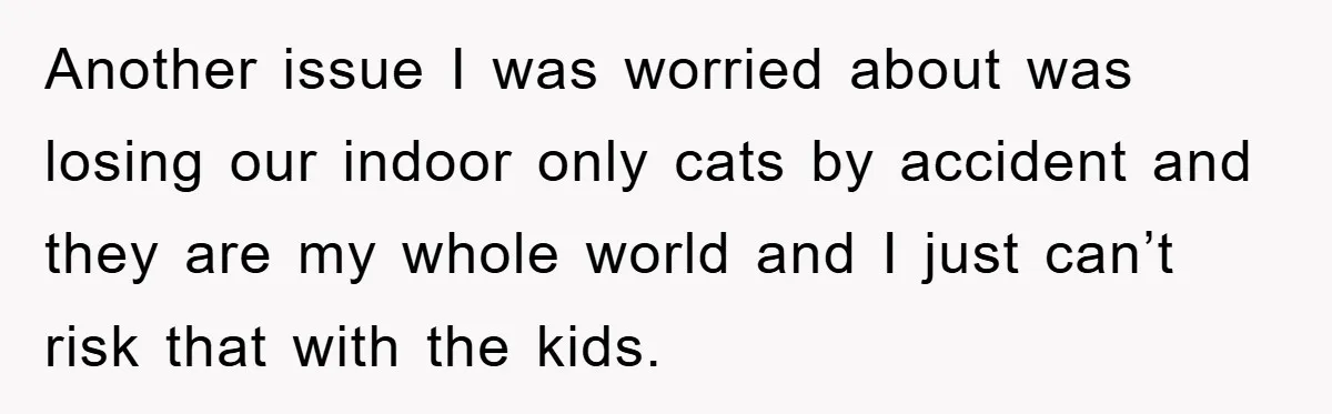 Another issue I was worried about was losing our indoor only cats by accident and they are my whole world and I just can’t risk that with the kids.