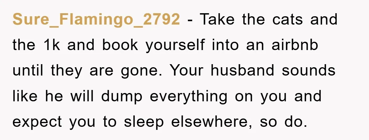 Sure_Flamingo_2792 − Take the cats and the 1k and book yourself into an airbnb until they are gone. Your husband sounds like he will dump everything on you and expect...
