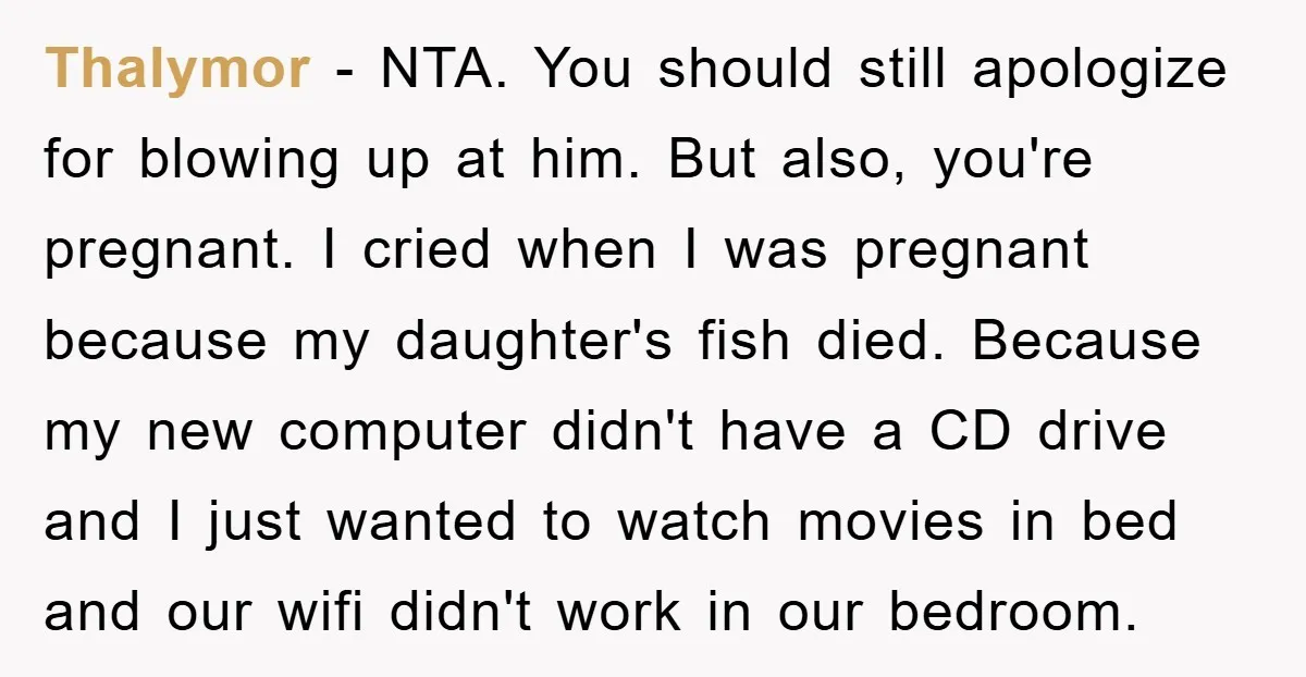 Thalymor − NTA. You should still apologize for blowing up at him. But also, you're pregnant. I cried when I was pregnant because my daughter's fish died. Because my new...