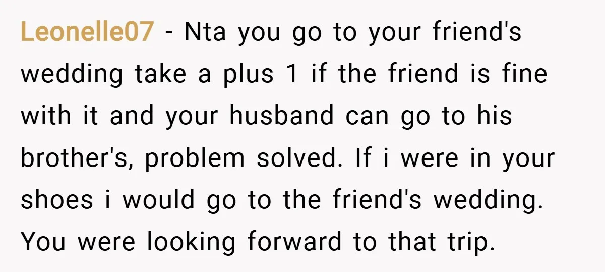 Leonelle07 − Nta you go to your friend's wedding take a plus 1 if the friend is fine with it and your husband can go to his brother's, problem solved....