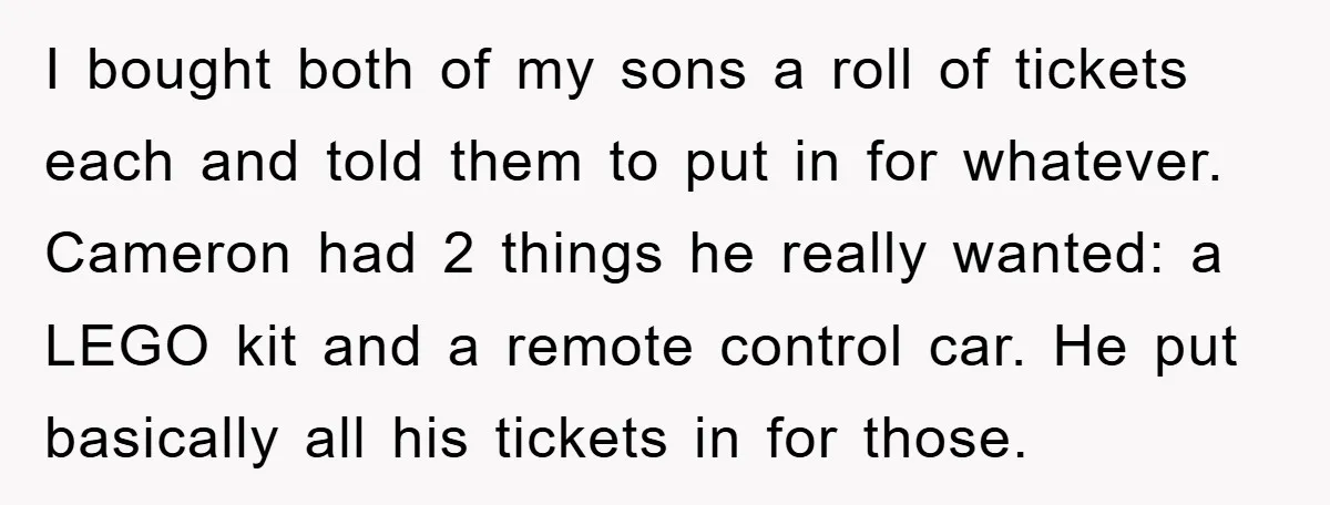 I bought both of my sons a roll of tickets each and told them to put in for whatever. Cameron had 2 things he really wanted: a LEGO kit and...